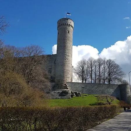 Kaarli Avenue * Tallinn