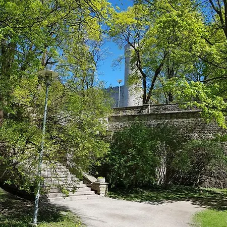 Kaarli Avenue * Tallinn
